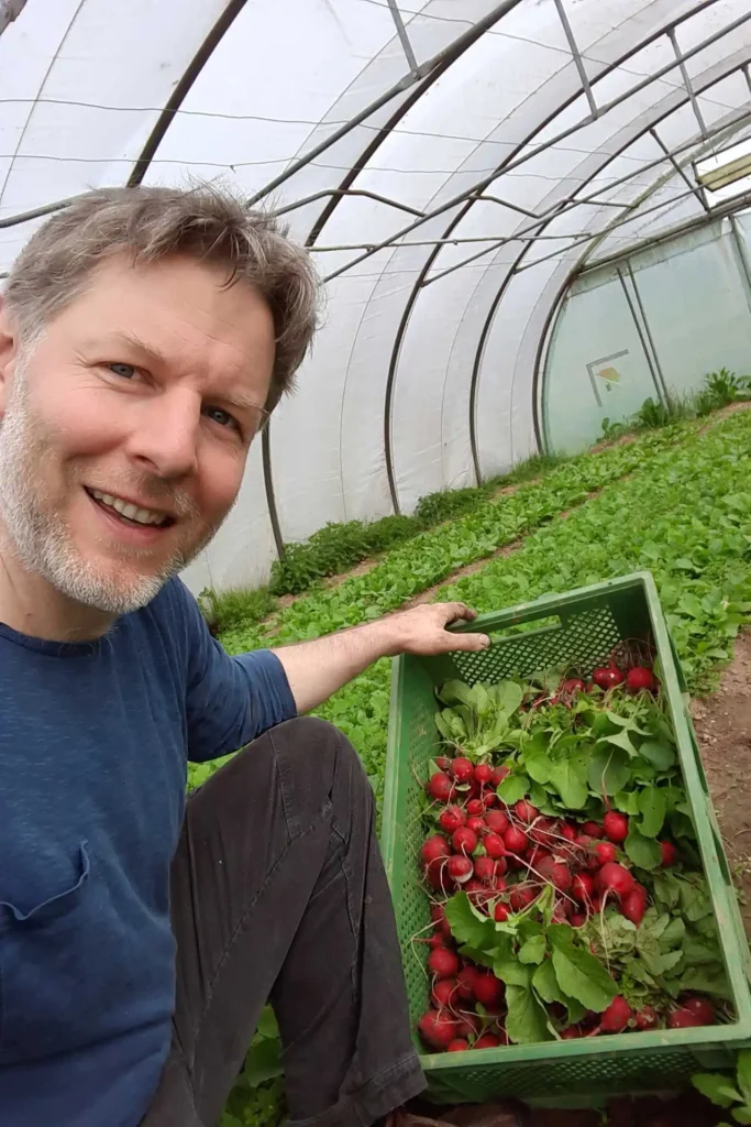Safran Naturkost Ihr Bioladen mit Charme. Herr Sylvain Durand Inhaber und Geschäftsführer mit frisch geernteten Radieschen in der Gemüsekiste in einem großen Gewächshaus
