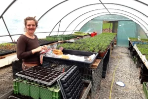 Safran Naturkost Ihr Bioladen mit Charme. Frisches & saisonales Obst & Gemüse Mitarbeiterin mit Setzlingen und Jungpflanzen in einem großen Gewächshaus