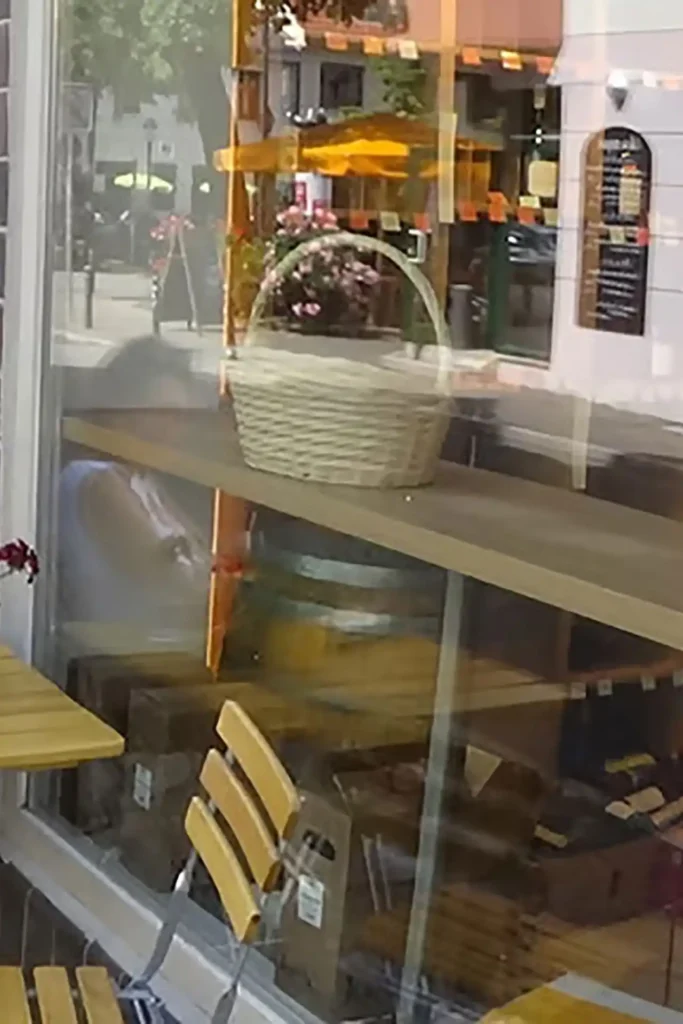 Chez Martin Ihre Käse- & Weintheke in Potsdam-Babelsberg. Aussenansicht Ladengeschäft - Von Ziegenweich bis Deichgraf – mehr als Käse - & Wein dazu!